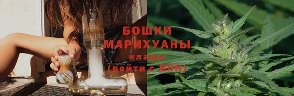 гидра Волоколамск