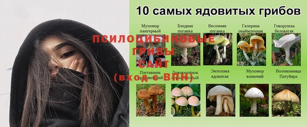 дурь Володарск