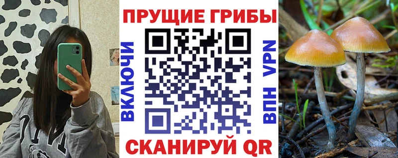 блэк спрут ONION  Льгов  Галлюциногенные грибы MAGIC MUSHROOMS 
